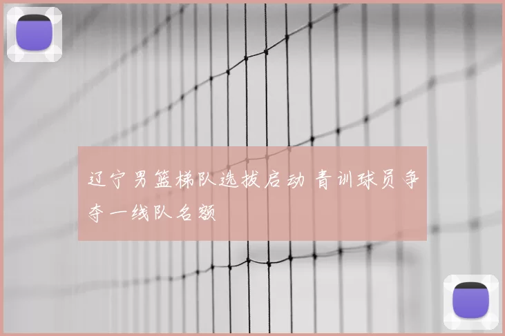 辽宁男篮梯队选拔启动 青训球员争夺一线队名额