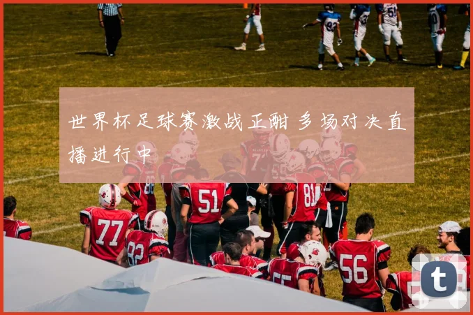 世界杯足球赛激战正酣 多场对决直播进行中