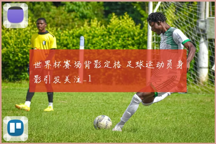 世界杯赛场背影定格 足球运动员身影引发关注_1