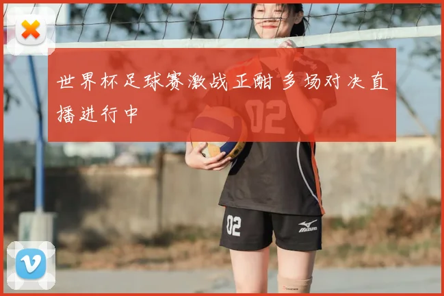 世界杯足球赛激战正酣 多场对决直播进行中